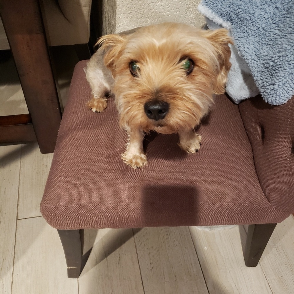 Meet your Posher, nikki